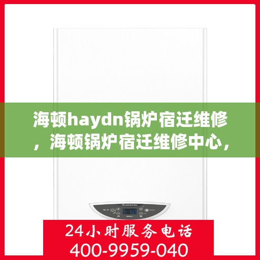 海顿haydn锅炉宿迁维修，海顿锅炉宿迁维修中心，专业维修，高效服务