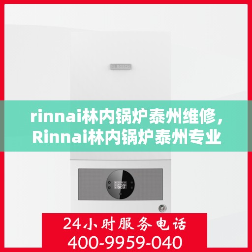 rinnai林内锅炉泰州维修，Rinnai林内锅炉泰州专业维修服务指南