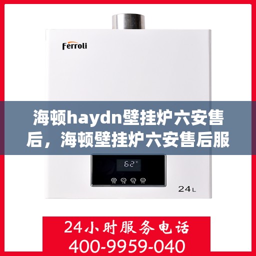 海顿haydn壁挂炉六安售后，海顿壁挂炉六安售后服务中心专业服务解析