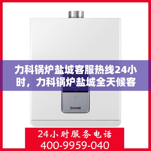 力科锅炉盐城客服热线24小时，力科锅炉盐城全天候客服热线，贴心服务，随时为您解答