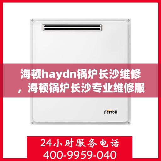 海顿haydn锅炉长沙维修，海顿锅炉长沙专业维修服务