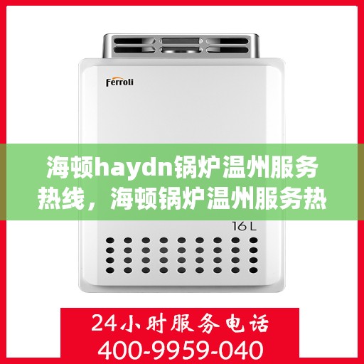 海顿haydn锅炉温州服务热线，海顿锅炉温州服务热线，专业团队为您提供全方位解决方案