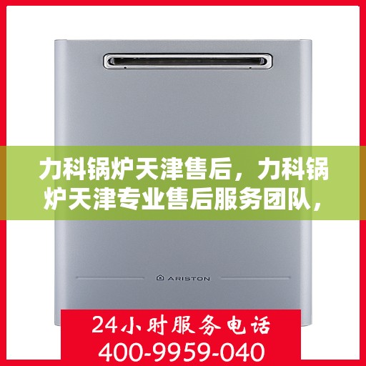 力科锅炉天津售后，力科锅炉天津专业售后服务团队，全方位技术支持，无忧维修体验
