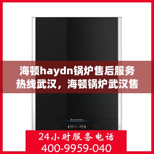 海顿haydn锅炉售后服务热线武汉，海顿锅炉武汉售后服务热线及专业维修支持