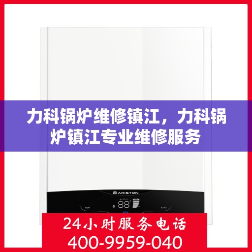 力科锅炉维修镇江，力科锅炉镇江专业维修服务