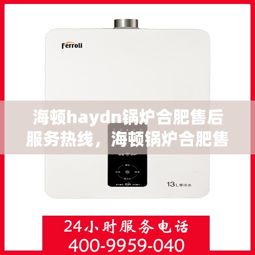 海顿haydn锅炉合肥售后服务热线，海顿锅炉合肥售后服务热线，专业团队，贴心服务