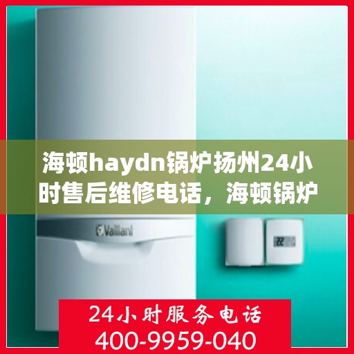 海顿haydn锅炉扬州24小时售后维修电话，海顿锅炉扬州售后维修热线全天候服务指南