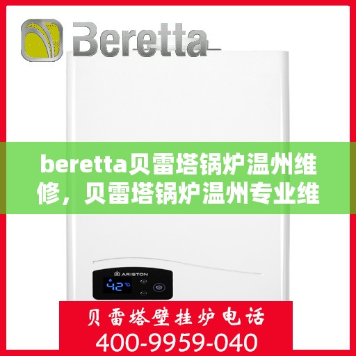 beretta贝雷塔锅炉温州维修，贝雷塔锅炉温州专业维修服务