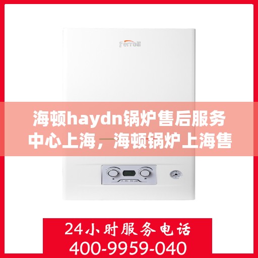 海顿haydn锅炉售后服务中心上海，海顿锅炉上海售后服务中心，专业维修与贴心服务