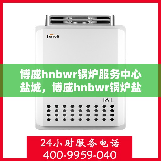 博威hnbwr锅炉服务中心盐城，博威hnbwr锅炉盐城服务中心，专业维护，高效运行