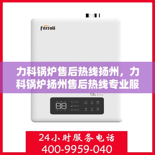 力科锅炉售后热线扬州，力科锅炉扬州售后热线专业服务，贴心保障