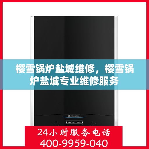 樱雪锅炉盐城维修，樱雪锅炉盐城专业维修服务