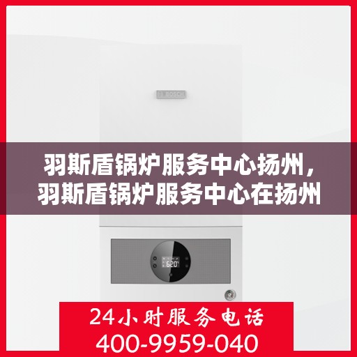 羽斯盾锅炉服务中心扬州，羽斯盾锅炉服务中心在扬州的专业服务