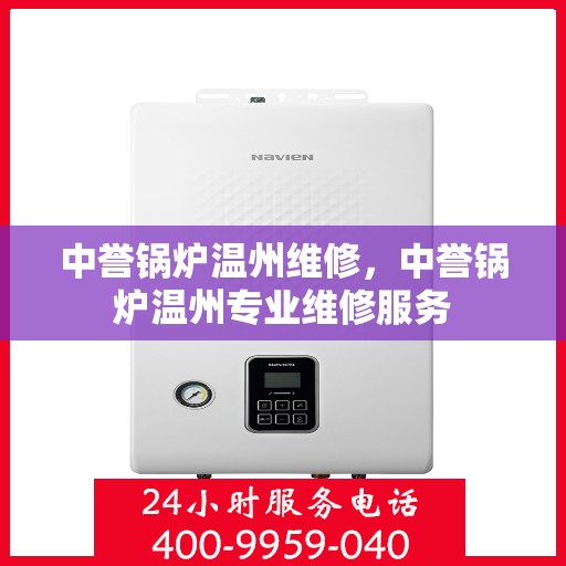 中誉锅炉温州维修，中誉锅炉温州专业维修服务