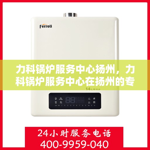 力科锅炉服务中心扬州，力科锅炉服务中心在扬州的专业服务之旅