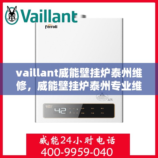 vaillant威能壁挂炉泰州维修，威能壁挂炉泰州专业维修服务指南